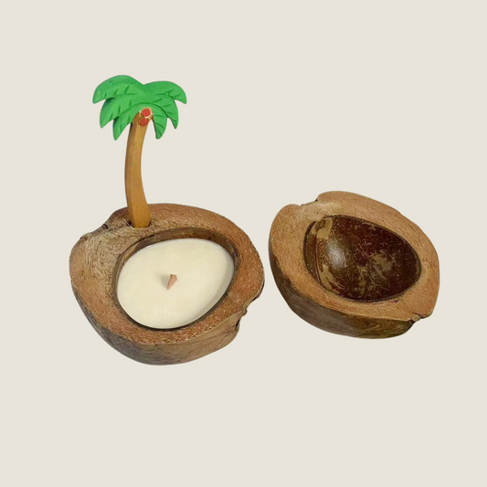 Natural Coconut Shell Fragrance candle set